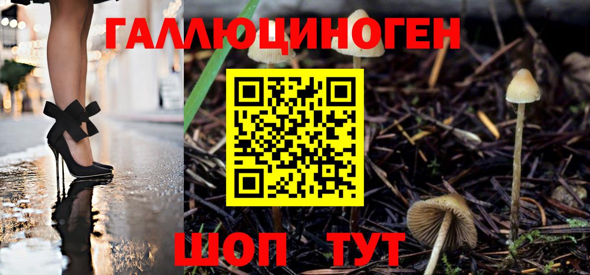 Гусиноозёрск  Галлюциногенные грибы ЛСД  Вход с VPN 